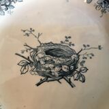 Ancient plate nests and birds