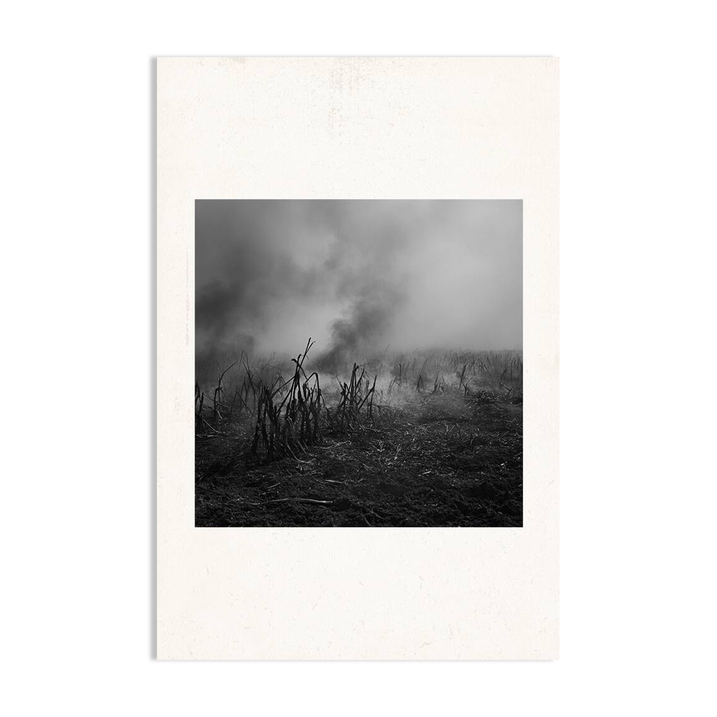 Tirage photographique numeroté par Antonin Ward