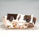 De Sede DS-102 Leather Pony Hide Three Seater