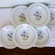 6 deep plates from Salins model Lily 2106202