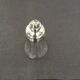 Glass sugar sprinkler and silver metal