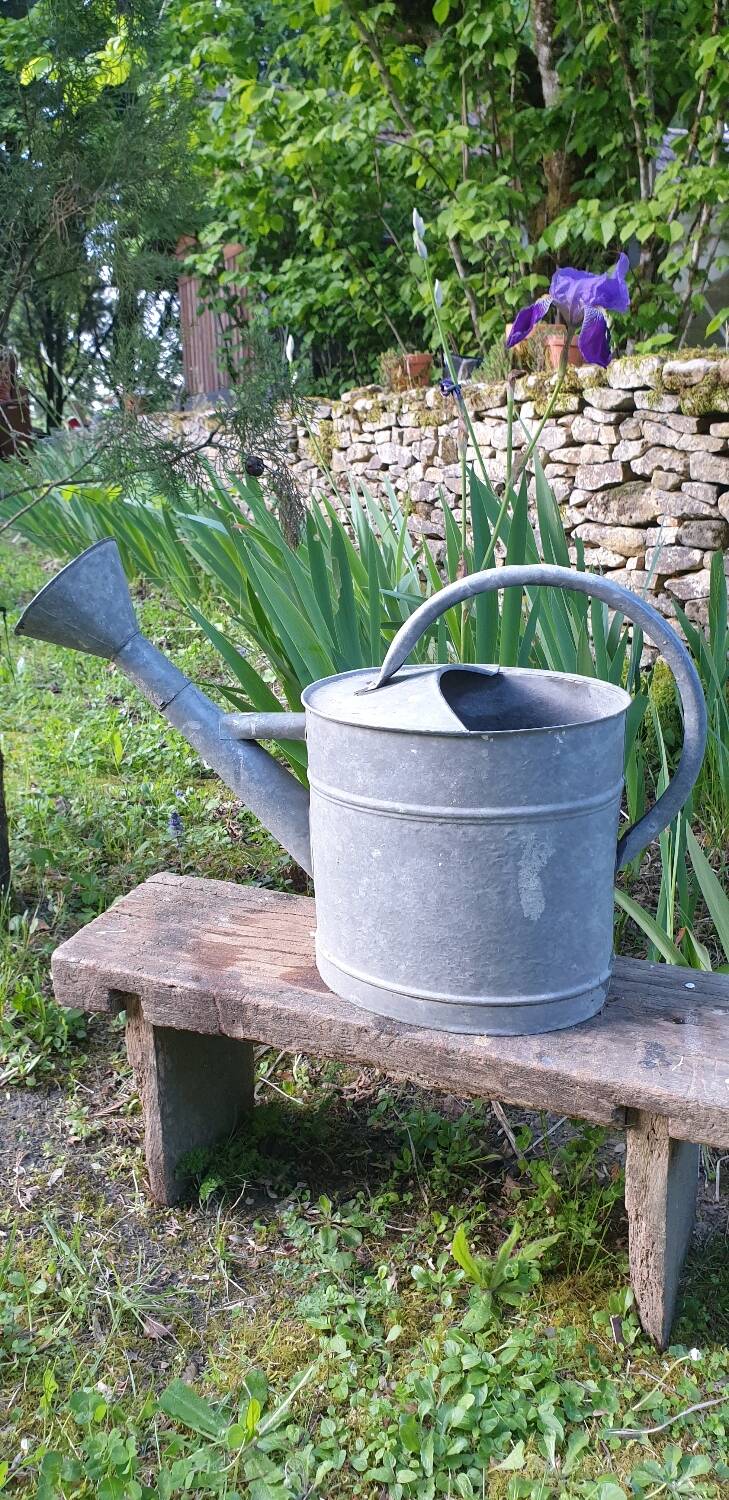 Vintage zing watering can
