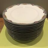 12 flat plates Havilland