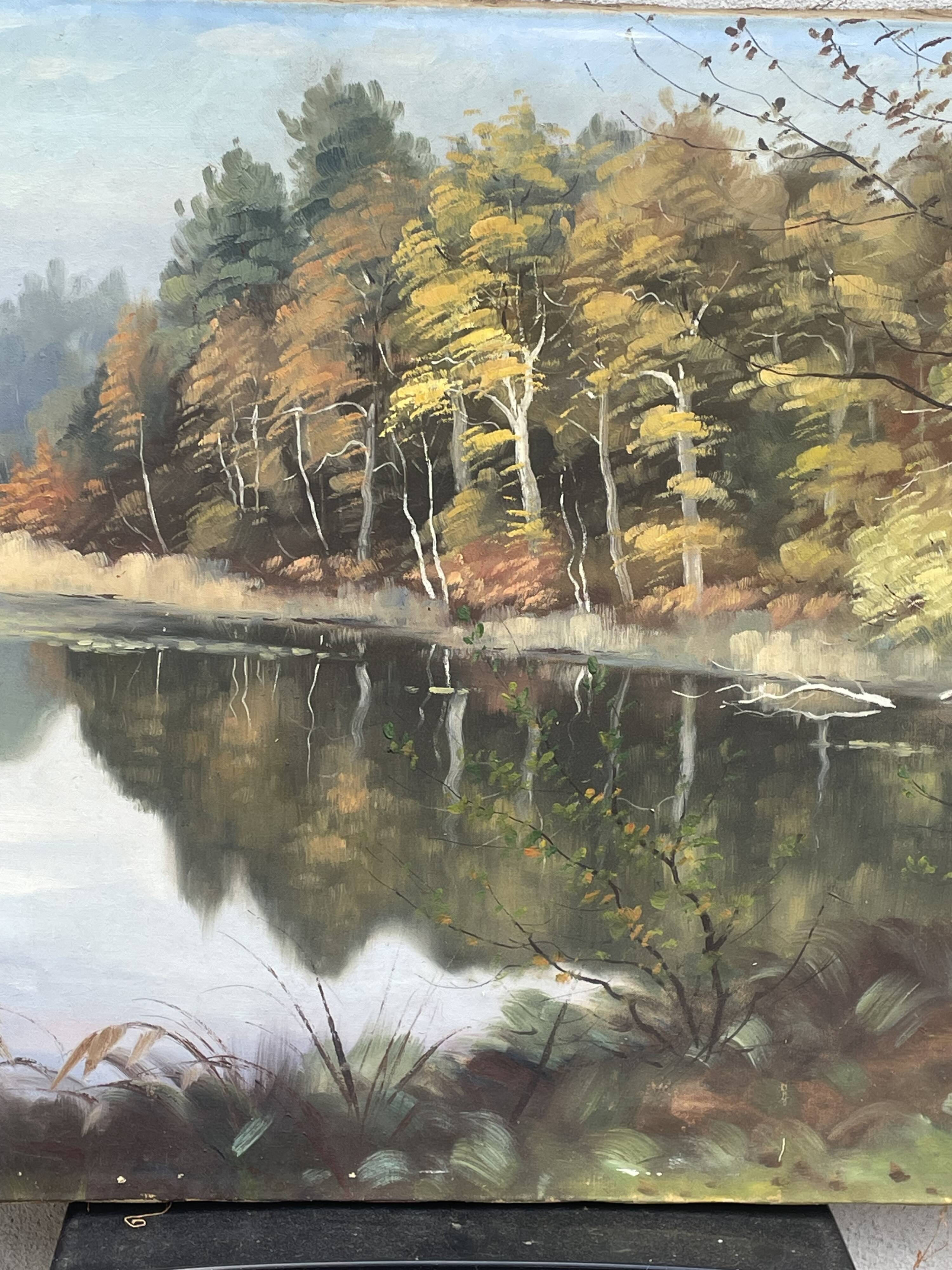 Oil on canvas lake landscape signed go baudoin xxth - 1975