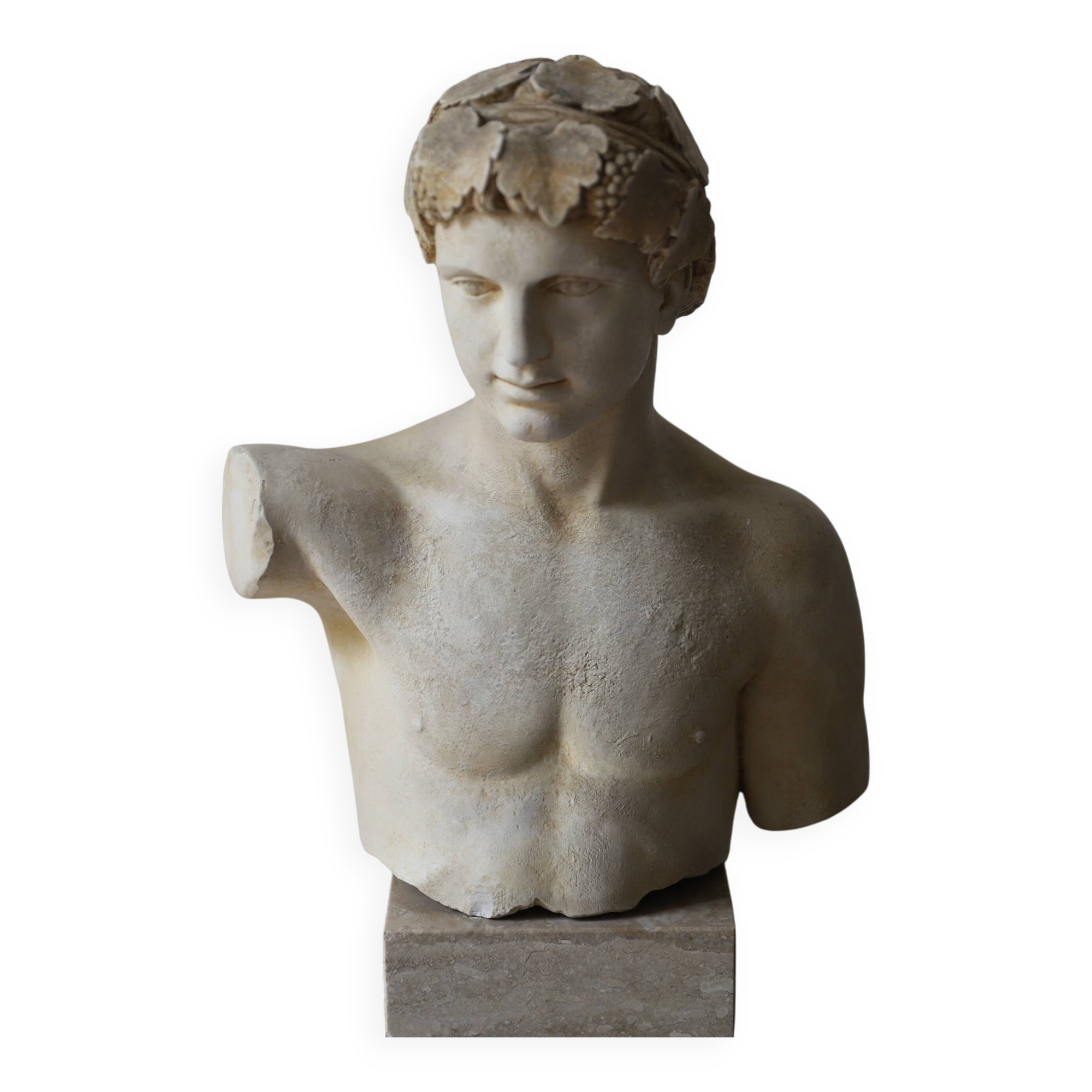 Plaster bust of Apollo