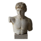 Plaster bust of Apollo