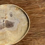 Petrified wood catchall or dish, beige with a brown spot in the centre, D24-27 -377.