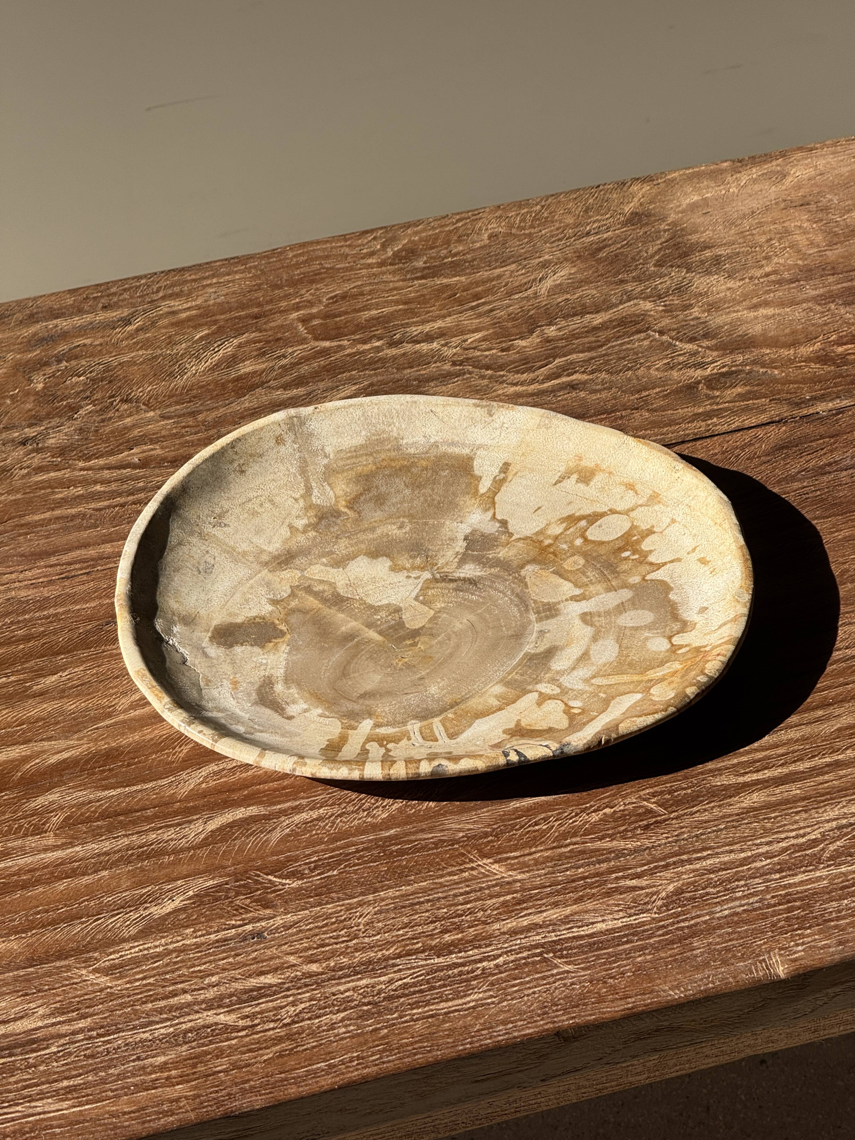 Small pocket tray or dish in speckled beige petrified wood D20 -3309