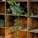 Factory locker cabinet, wood and green
