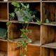 Factory locker cabinet, wood and green