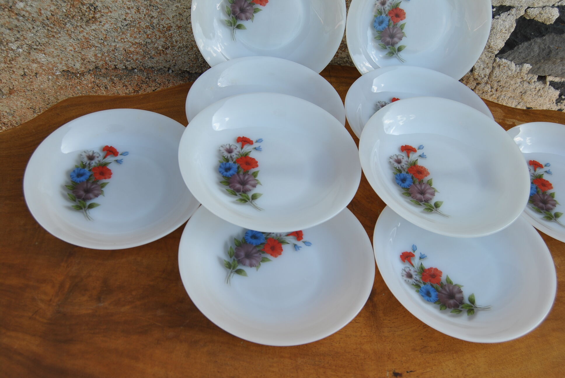 Set of 10 plates flowers of the fields - Arcopal - 70s - Vintage authentic