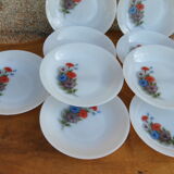 Set of 10 plates flowers of the fields - Arcopal - 70s - Vintage authentic