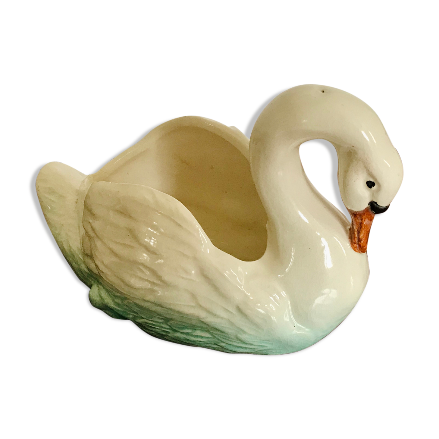 Ancient swan dabbling