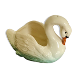 Ancient swan dabbling