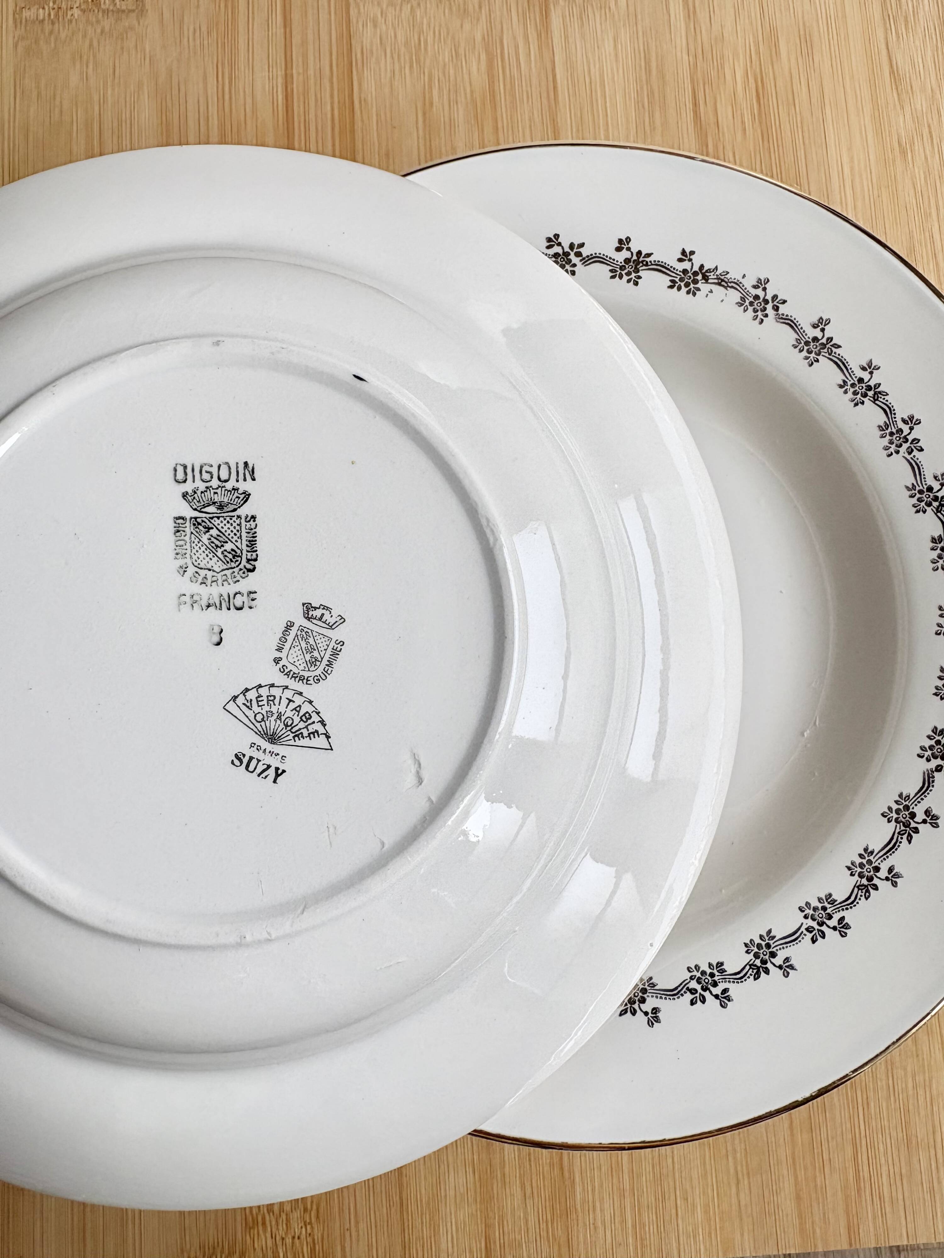 8 Digoin Sarreguemines plates