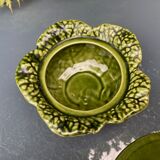 Cabbage bubble