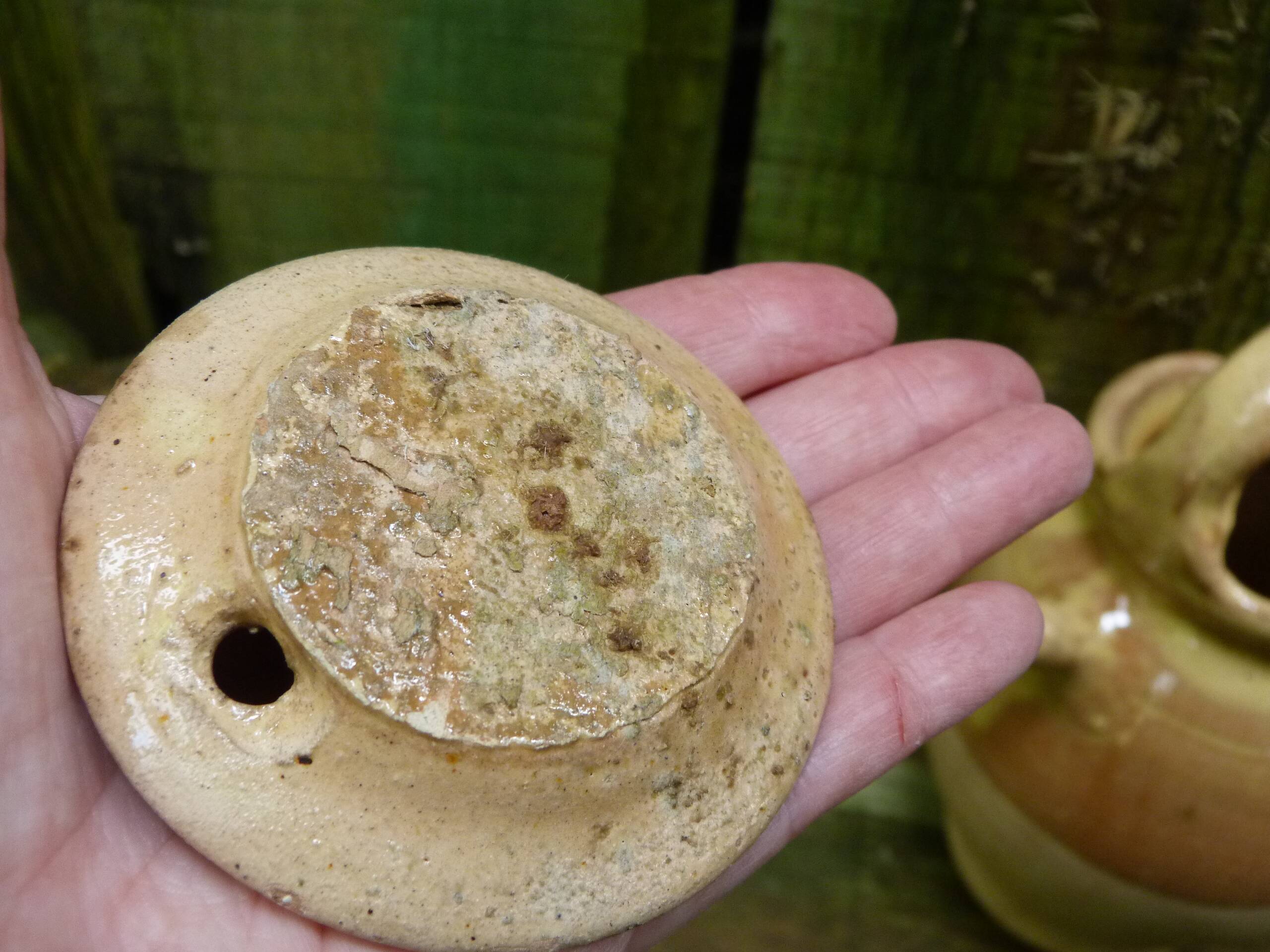 Old goat gargoulette in beige and yellow glazed earth XIXth century