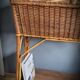 Planter door rattan plant