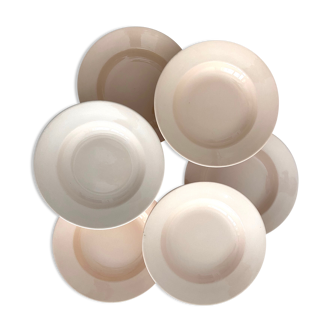 Set of 6 digoin pink hollow plates