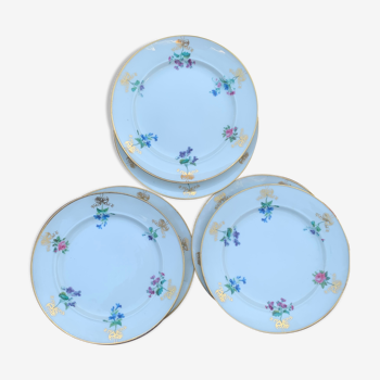 Six porcelain plates