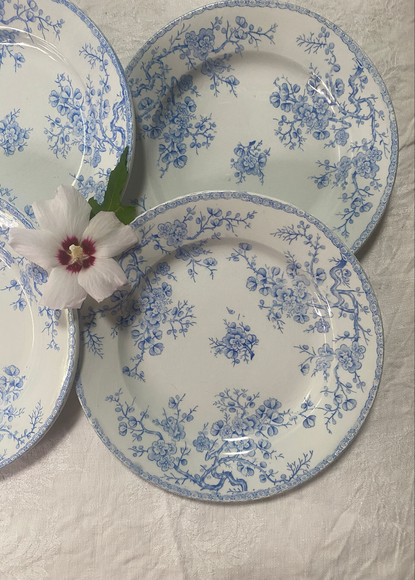 Lot de 4 assiettes plates modèle Fleurette de Gien