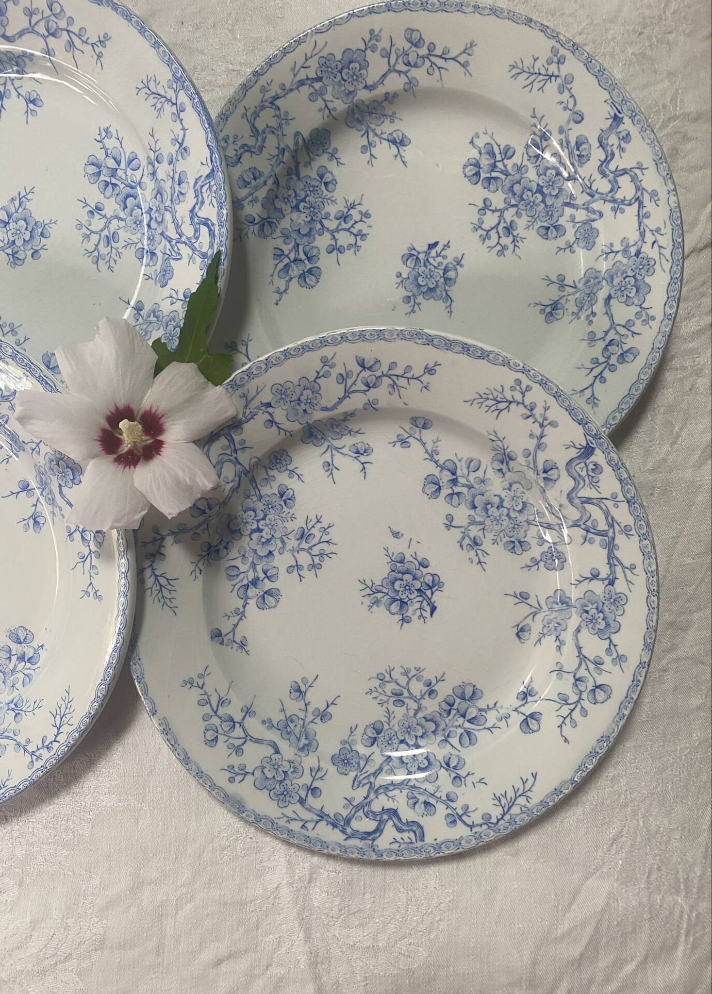Lot de 4 assiettes plates modèle Fleurette de Gien