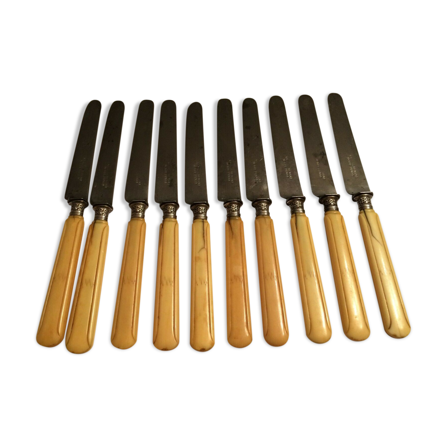 Set of 10 blade knives in steel cheese and dessert