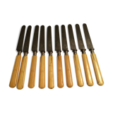 Set of 10 blade knives in steel cheese and dessert