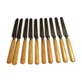Lot de 10 couteaux lame en acier fromage et dessert