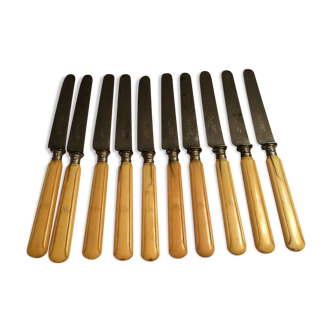 Set of 10 blade knives in steel cheese and dessert