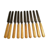 Set of 10 blade knives in steel cheese and dessert