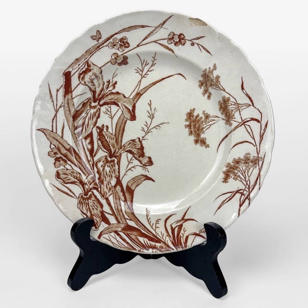 8 assiettes à dessert Terre de fer sépia modèle Flore Jules Vieillard Bordeaux XIX