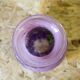 Vase en verre Kosta Boda Vallien