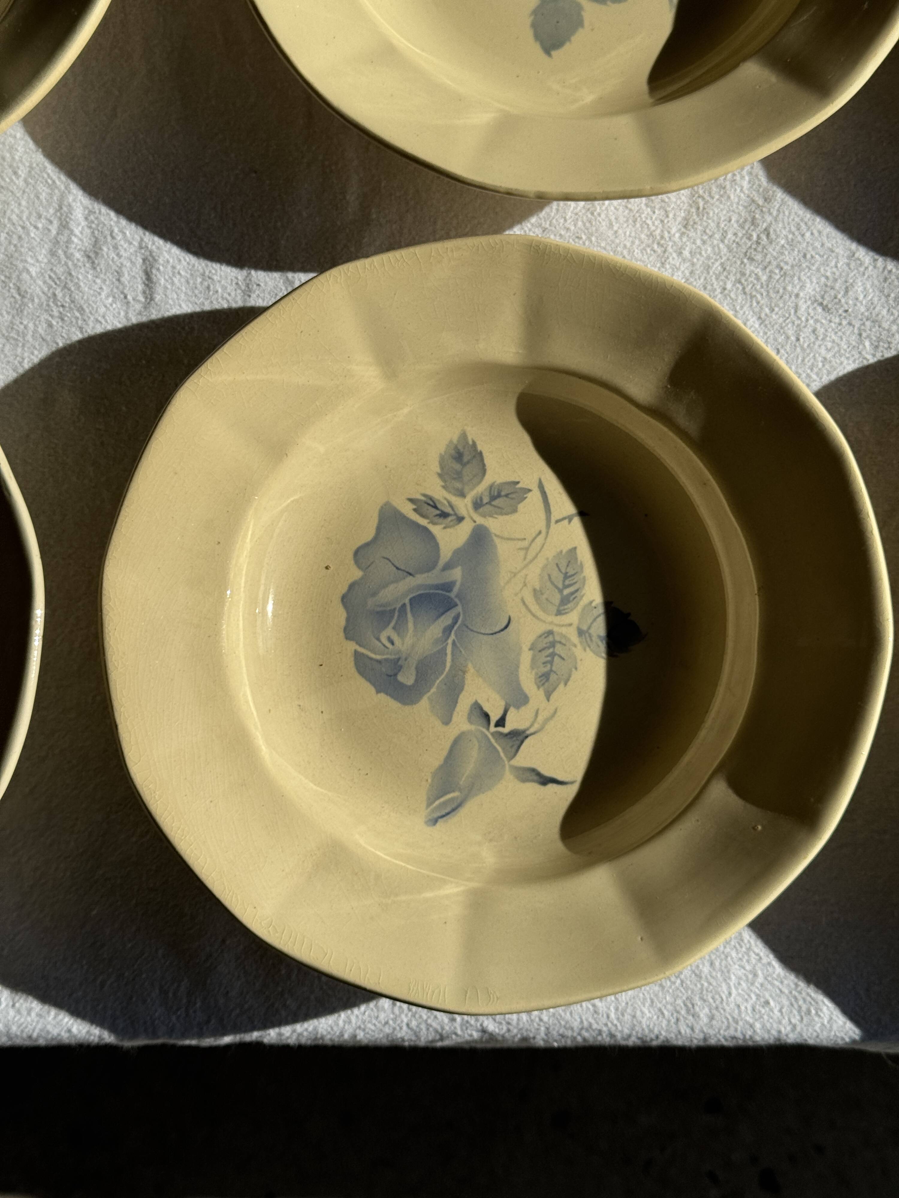 Set of 12 beige, pink, and blue deep plates from Digoin Sarreguemines, vintage.
