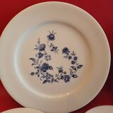 Frelon porcelain dessert set 8 plates + 2 trays