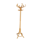 Baumann parrot coat holder