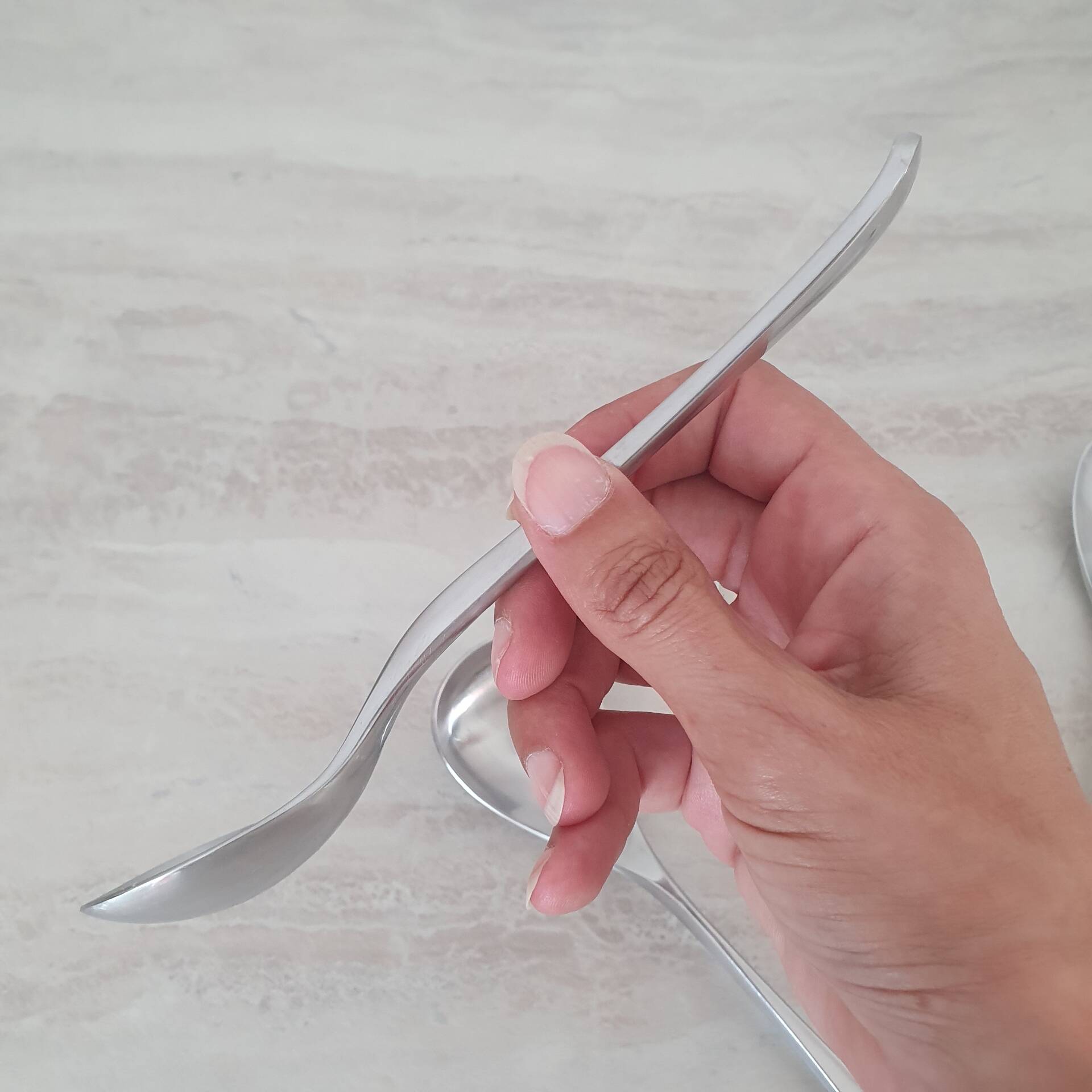 5 Large Spoons Guy Degrenne Cobra collection