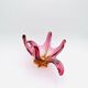 Coupe Murano - Sommerso - Orange & Rose