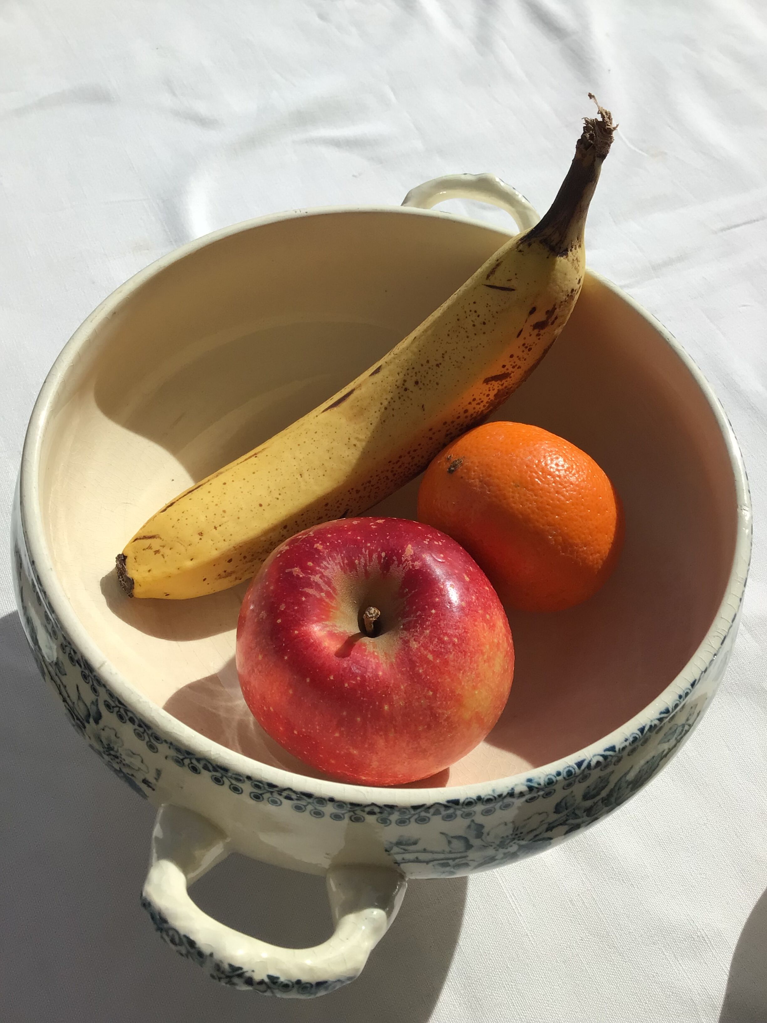 Iron Earth tureen model Guadeloupe Debray gray blue