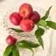 Coupe à fruits ou compotier sur pied