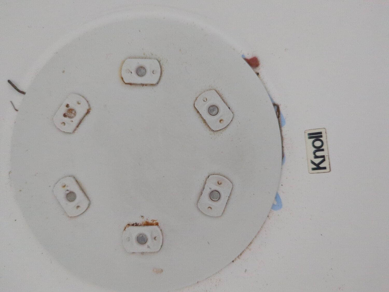 Chaise Tulip Knoll pivotante Saarinen