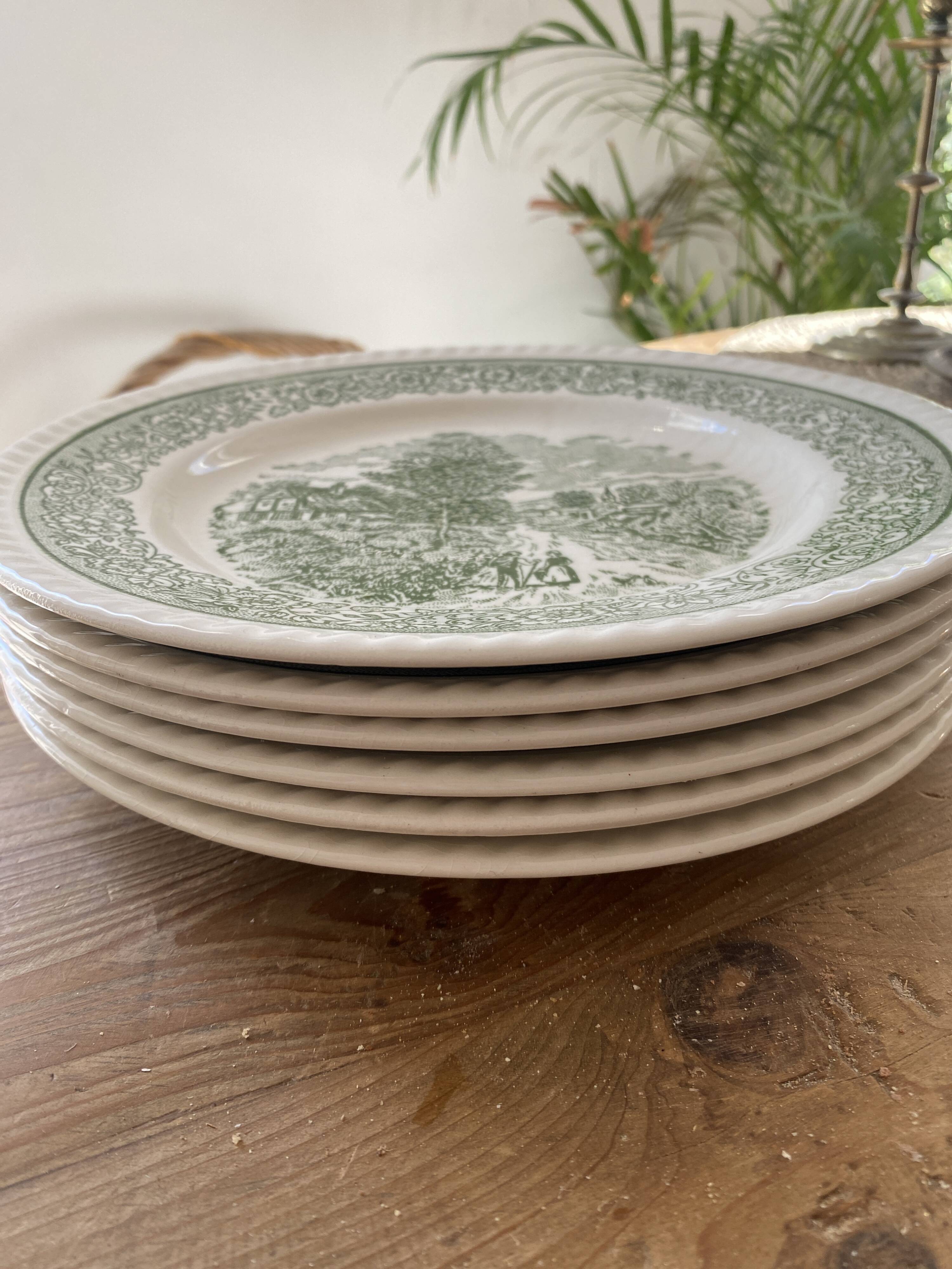 Set of 6 vintage plates