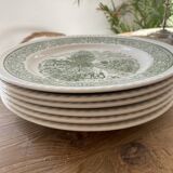 Set of 6 vintage plates