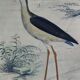 Planche ornithologique originale " Pluvier doré & à collier - Echasse - &c... " Buffon 1837