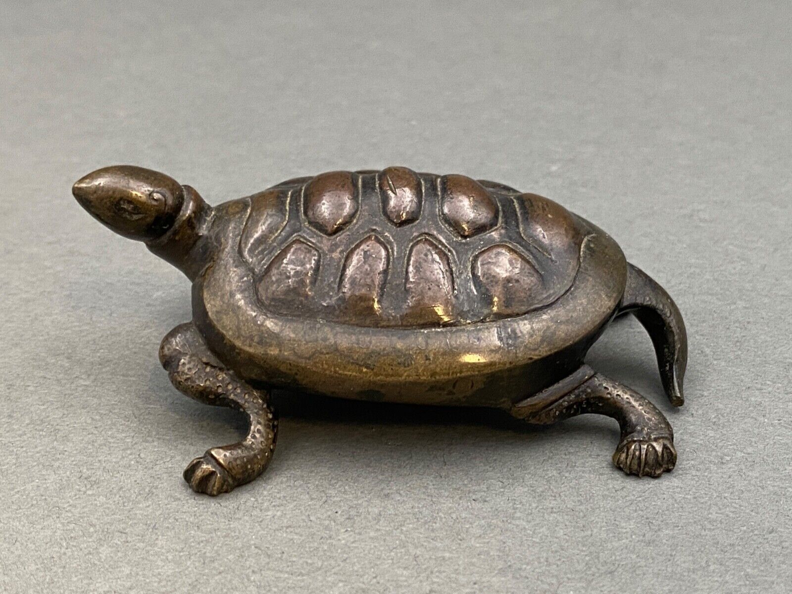 Bronze turtle XIXth Chocolate patina Fine carving