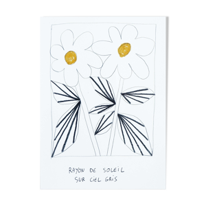 Les marguerites rayon