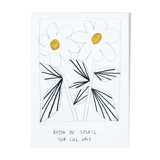 Daisies - Sunshine on grey sky