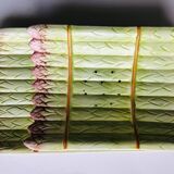 Asparagus dish