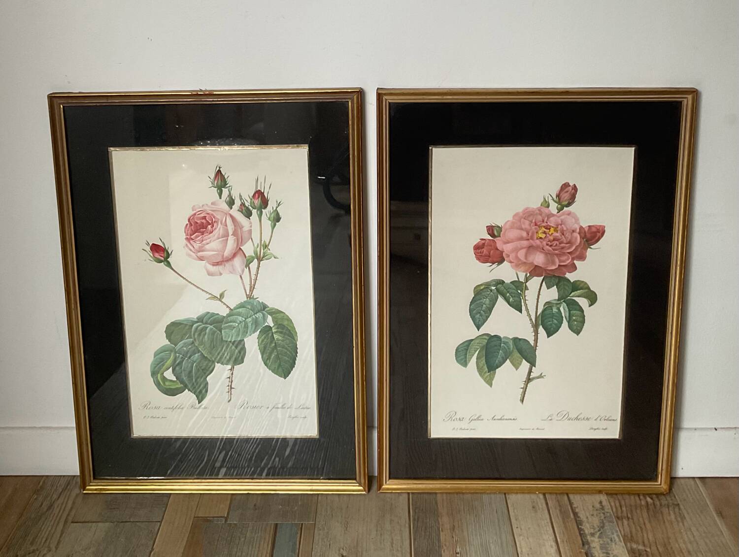 Pair of gilded wooden botanical frames from the 70s