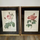 Pair of gilded wooden botanical frames from the 70s